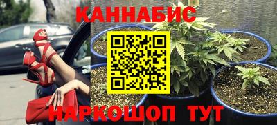 mdpv Усть-Джегута