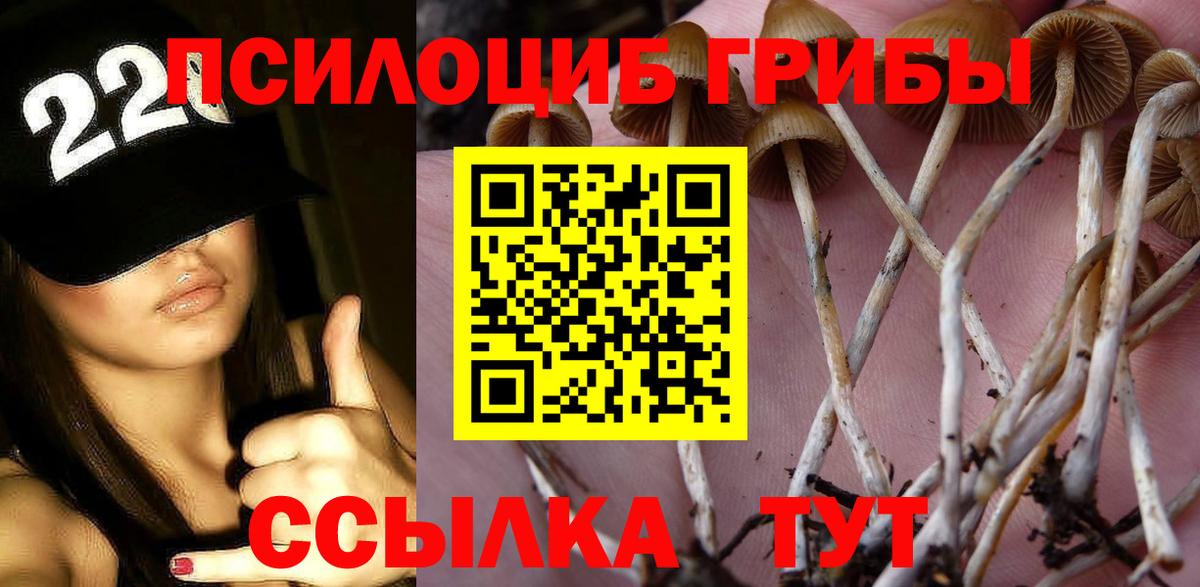Псилоцибиновые грибы GOLDEN TEACHER  Вход с VPN  Мытищи  Псилоцибиновые грибы мухоморы 